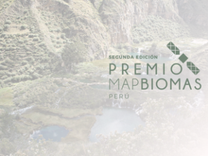¡La Segunda Edición del Premio MapBiomas Perú ya está en marcha! Descubre cómo participar
