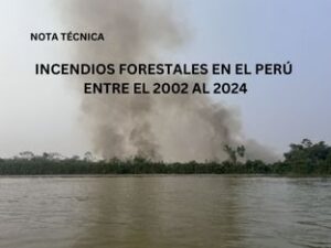 La Amazonía peruana fue el epicentro de los incendios en el país en 2024, revela investigación científica