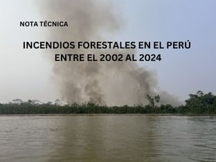 La Amazonía peruana fue el epicentro de los incendios en el país en 2024, revela investigación científica