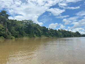 En dos décadas Perú ha perdido casi 71 mil hectáreas de superficie de agua natural, revela estudio de MapBiomas