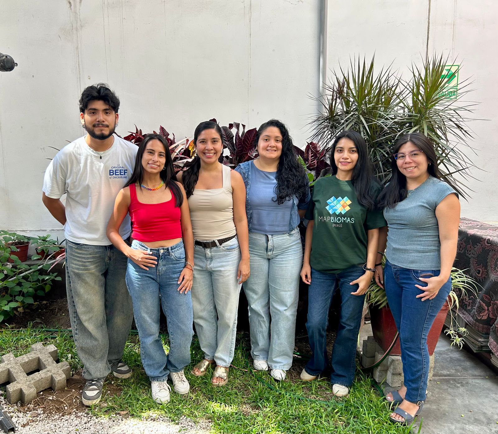 ¿Cómo se organiza MapBiomas Perú?