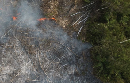 Vea la nota técnica sobre incendios forestales